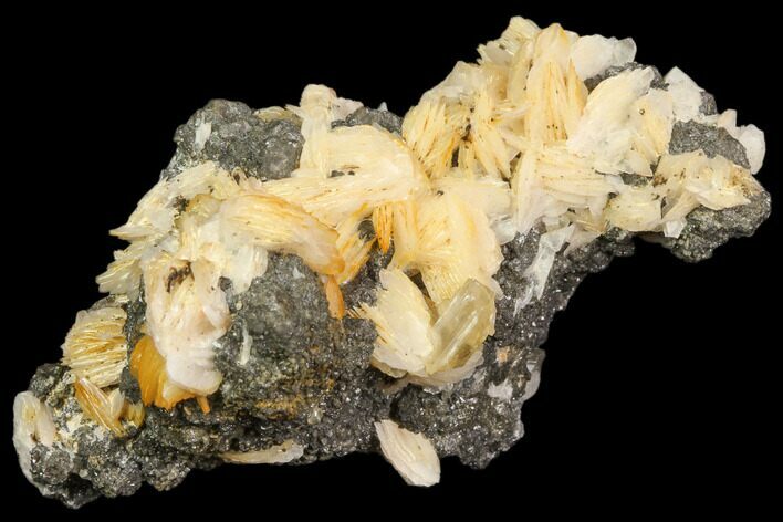 Cerussite Crystals with Bladed Barite on Galena - Morocco #82349